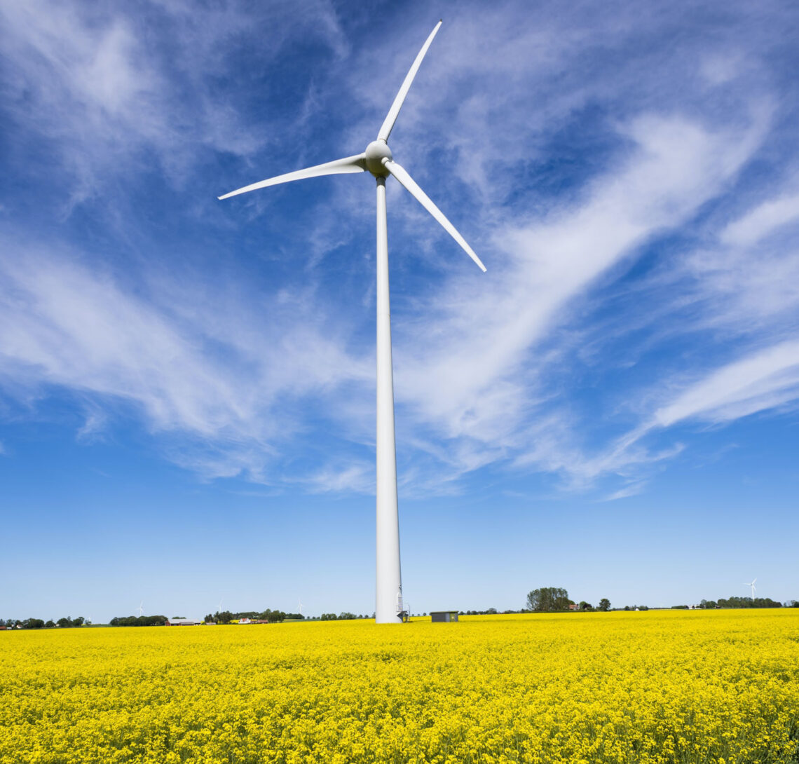 June constructsteel newsletter